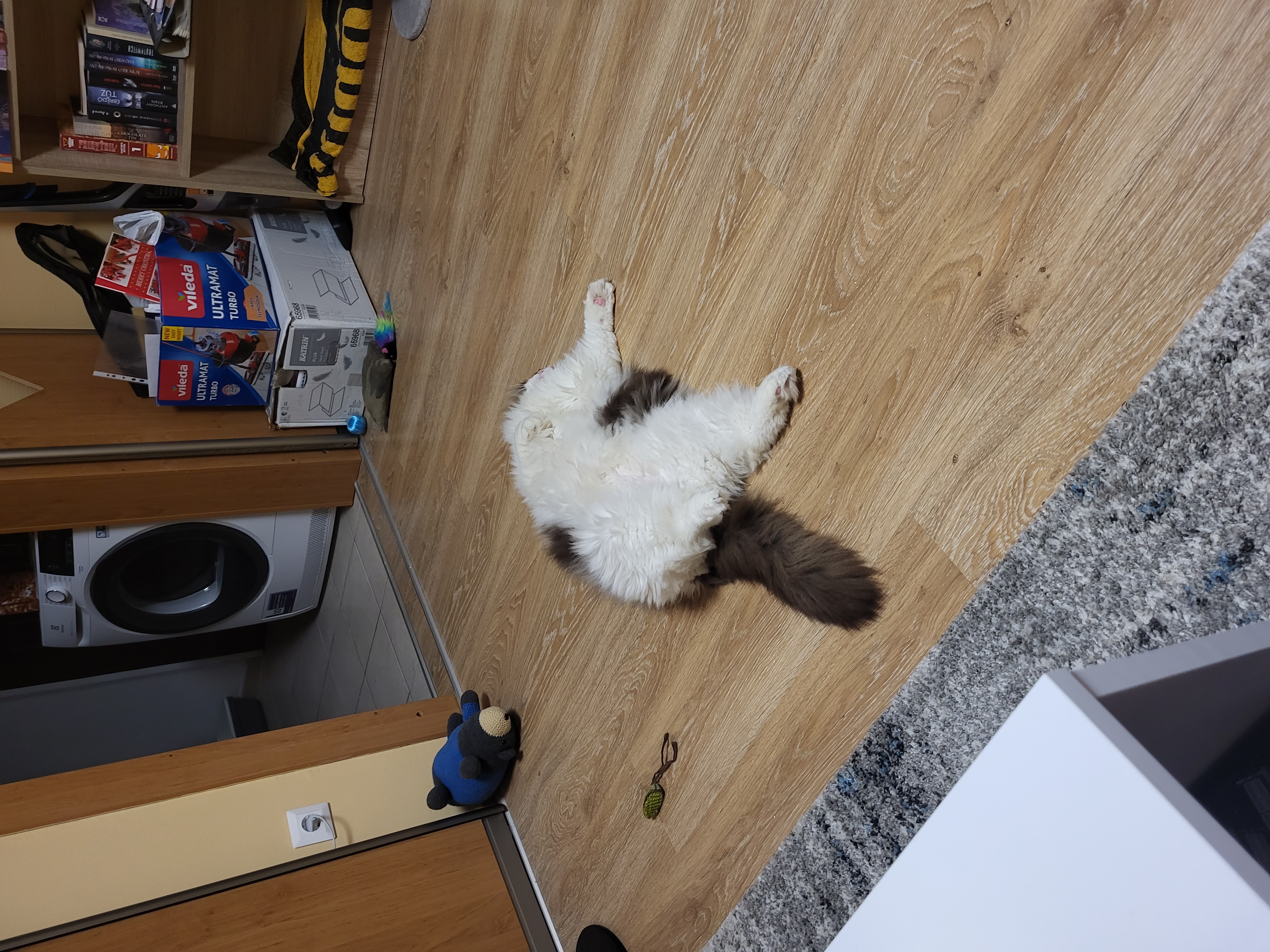 /images/Galeria/Képek gazdiktól (Pictures from owners)/20221225_224132.jpg